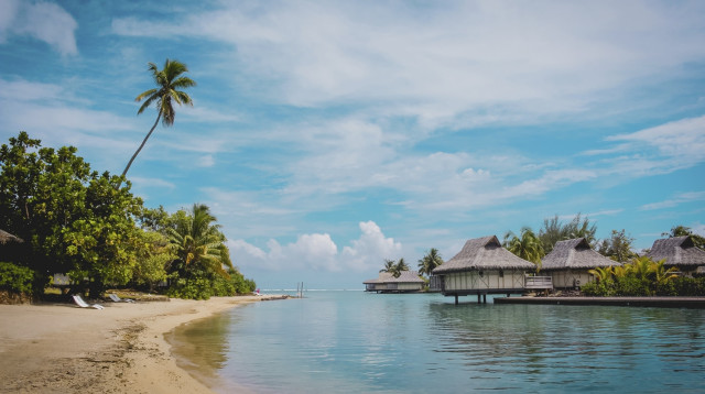 פולינזיה הצרפתית, MSC Cruises (צילום: יח"צ)