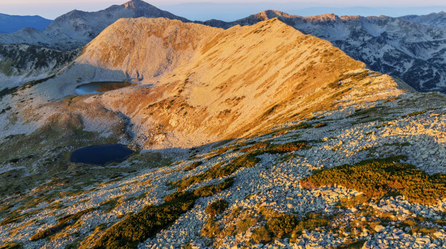Pirin National Park (צילום: REUTERS)