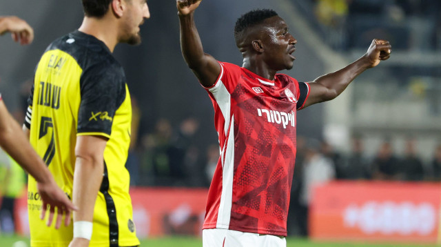 קינגס קאנגווה, ירדן שועה (צילום: דני מרון)