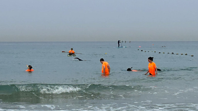 צוותי זק"א מחפשים אחר הטלפון של הפצ"רית בחוף הצוק (צילום: שימוש לפי סעיף 27א')
