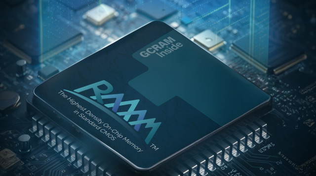  raaam chip  (צילום:  raaam chip )