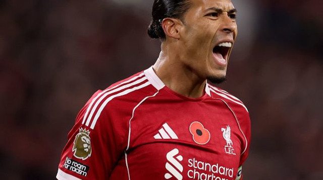 וירג'יל ואן דייק (צילום: GettyImages)