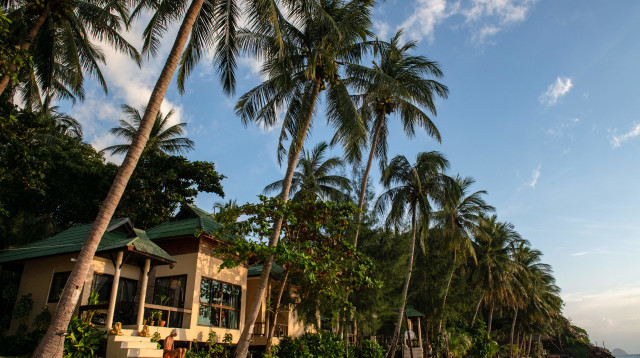קופנגן תאילנד (צילום: ALEX OGLE/AFP via Getty Images)