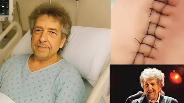 פייק בוב דילן (צילום: צילום מסך)