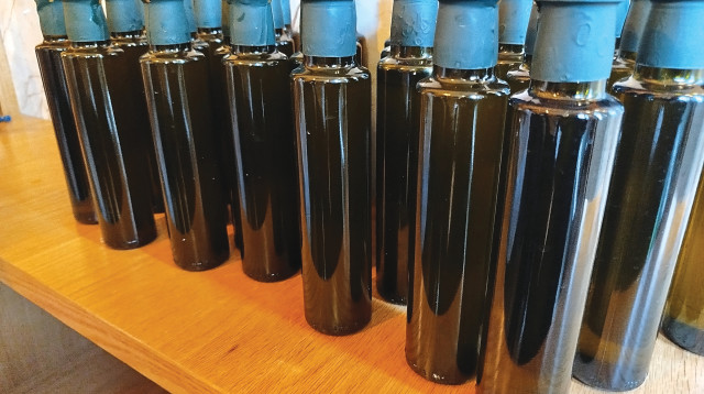 שמן זית "מורשת" (צילום: אילנה שטוטלנד)