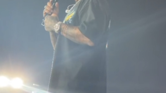 אייל גולן בהופעה בפארק הירקון (צילום: צילום מסך טיקטוק)