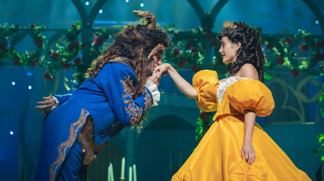 מתוך המחזמר היפה והחיה (צילום: אריאל עפרון, טופ 10)