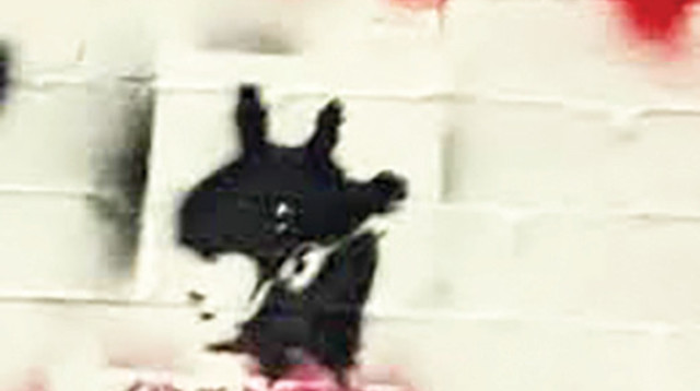 גרפיטי נגד נגה ארז (צילום: צילום מסך לפי סעיף 27א)