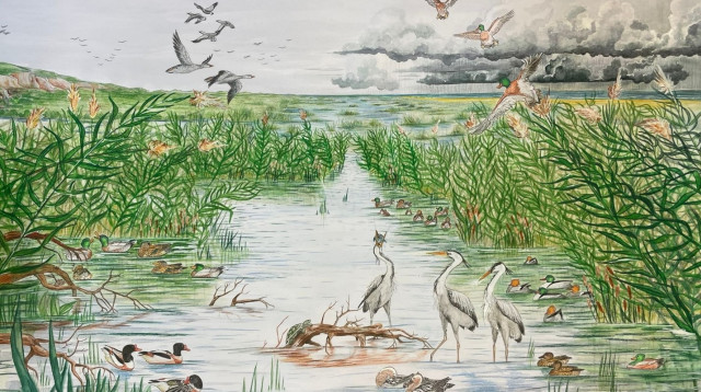 איור (צילום: דריה לוקשין-גנדזילוב)