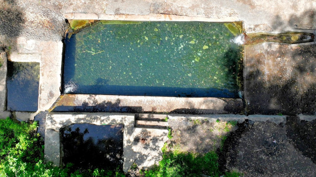 עין עלמין (צילום: אבי אריש, לרשות ניקוז ונחלים כינרת)