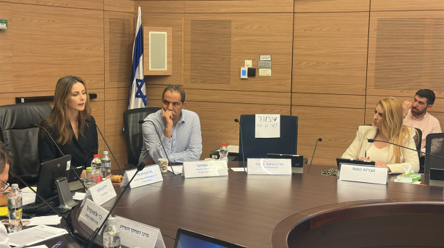 ח"כ מירב כהן בדיון בכנסת על אלימות נגד נשים (צילום: ללא קרדיט)