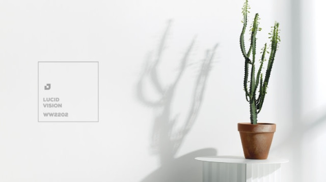 טמבור צבע השנה 2026, סטיילינג עמית פרבר (צילום: רונן מנגן)