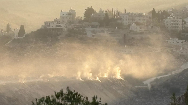 שריפת פסולת בנעלין  (צילום: שני גזית)