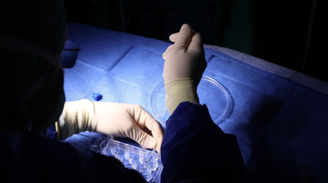 קרנית מודפסת. תהליך ייצור מתקדם (צילום: רמב"ם)