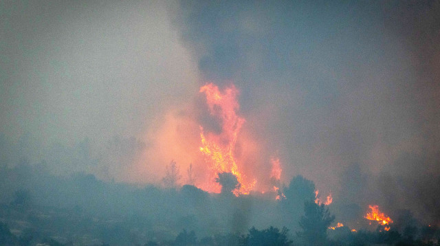 שריפה  (צילום: יונתן זינדל פלאש 90)