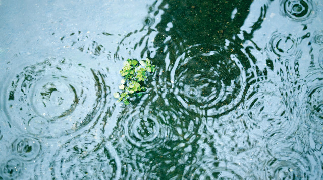 גשם (צילום: אינגאימג')