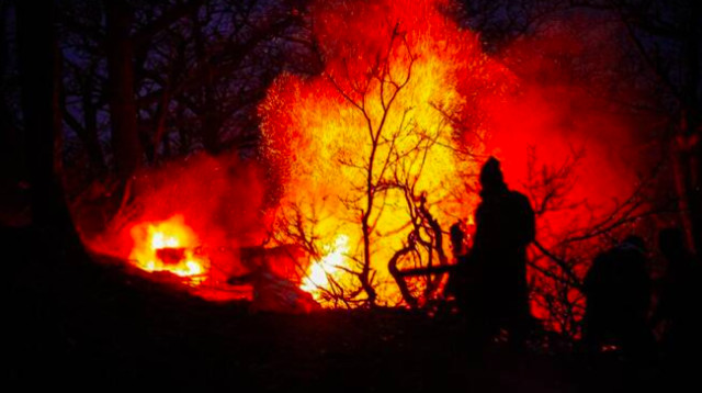 שריפות בצפון איראן (צילום: צילום מסך מתוך רשתות חברתיות)