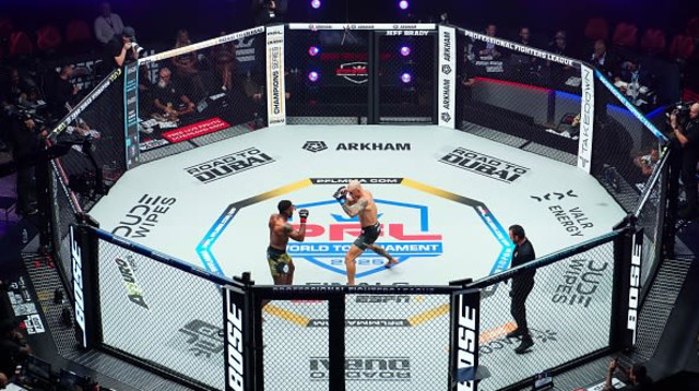 זירת MMA, אילוסטרציה (צילום: Cooper Neill)