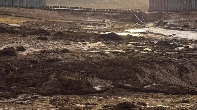 סערה חריגה בעוצמתה  (צילום: שימוש לפי סעיף 27א')