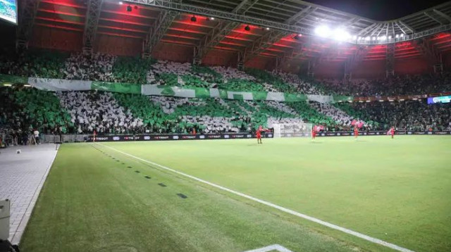 מניה בטוחה. אוהדי מכבי חיפה (צילום: מאור אלקסלסי)