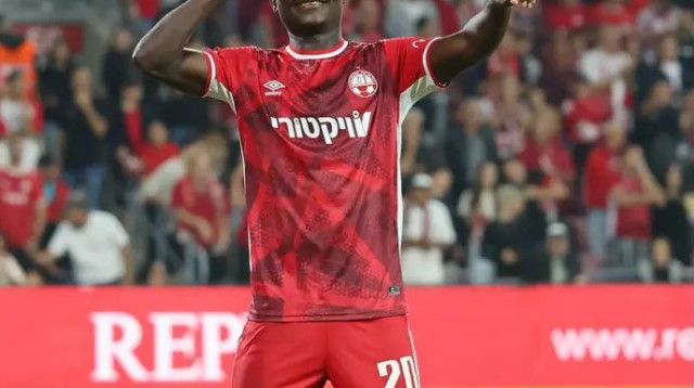 טוב לו בישראל. קאנגווה (צילום: אודי ציטיאט)