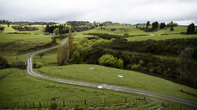 ניו זילנד (צילום: Toni Greaves/Getty Images for Lumix)