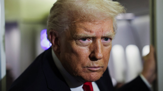 דונלד טראמפ (צילום: REUTERS/Anna Rose Layden)