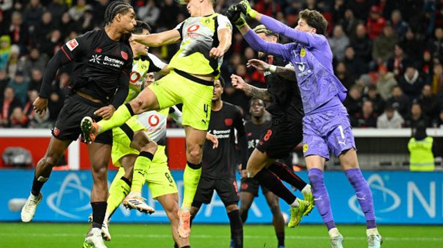 לברקוזן מול דורטמונד (צילום: INA FASSBENDER)