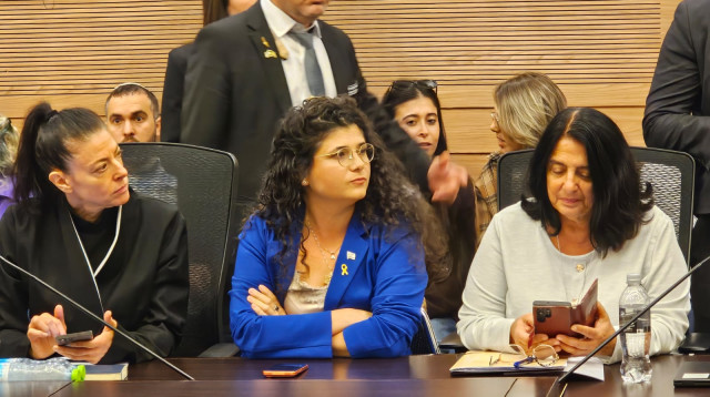 שרן השכל (צילום: דוברות הכנסת)