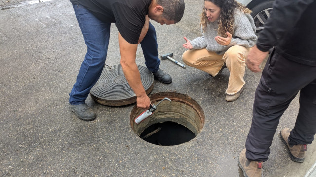 רמת גן יוצאת למאבק ישיר בחולדות (צילום: דוברות העירייה)