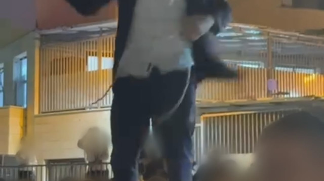 תמונה מזירת האירוע  (צילום: דוברות המשטרה)