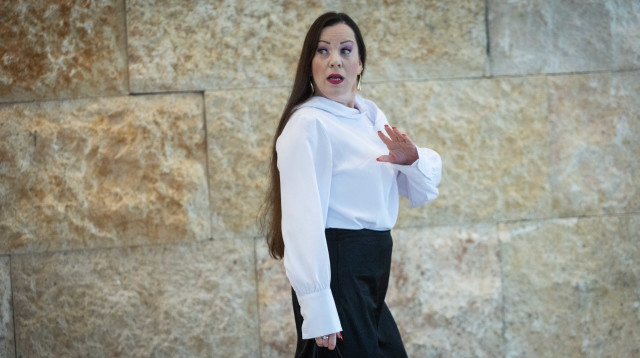 טלי גוטליב (צילום: יונתן זינדל פלאש 90)