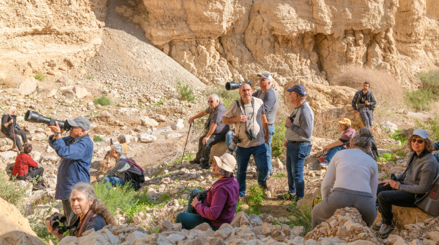 כנפי קק"ל במדבר יהודה  (צילום: בוני שיינמן, ארכיון הצילומים של קק"ל)