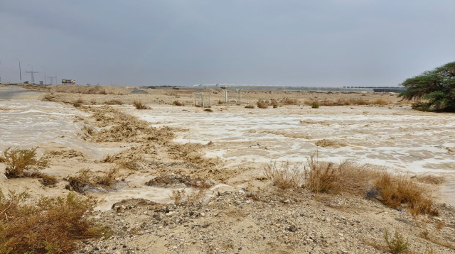 גשם בצוקים, הערבה התיכונה (צילום: אביעד בר)