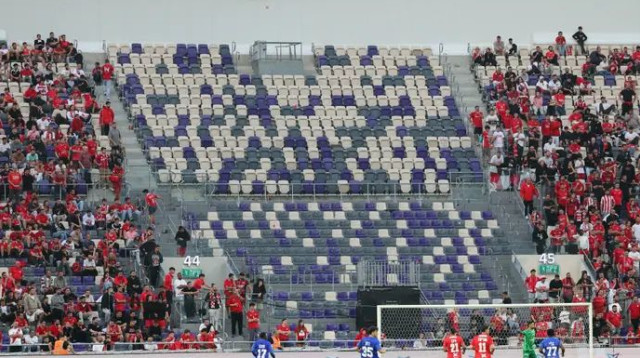  (צילום: אודי ציטיאט)