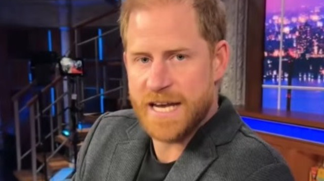 הנסיך הארי (צילום: צילום מסך טיקטוק)