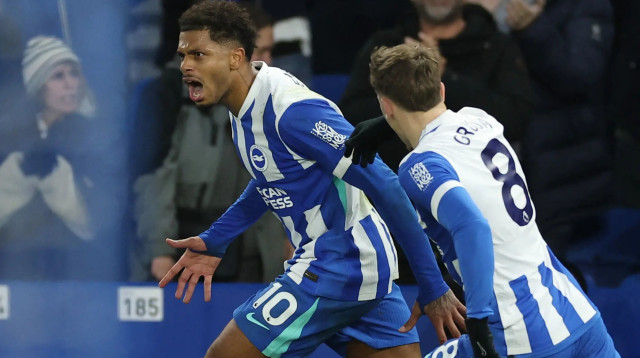 ז'ורז'יניו רוטר שחקן ברייטון חוגג שער (צילום: רויטרס)