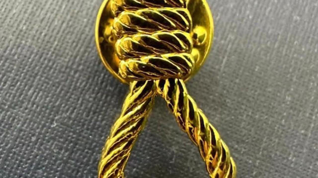 סיכת חבל התלייה (צילום: צילום מסך רשתות חברתיות)