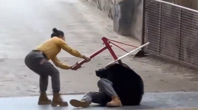 צוות הספארי מנסה להרחיק את הדוב מהמטפל (צילום: רשתות חברתיות, שימוש לפי סעיף 27 א')