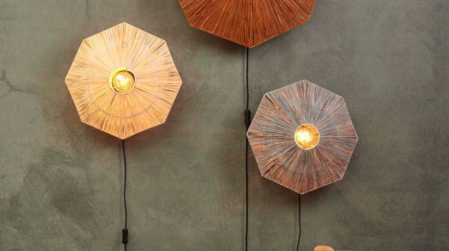 לייט אין (צילום: יח"צ)