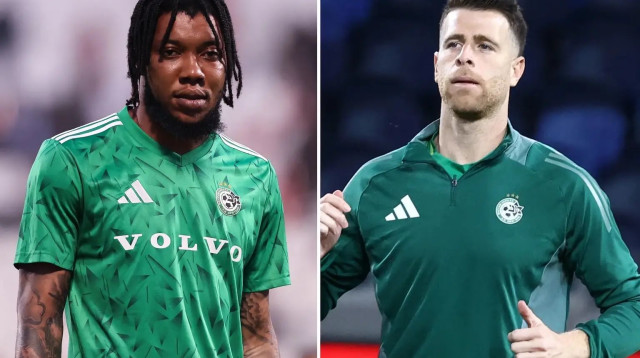 גיא מלמד / טריבנטה סטיוארט (צילום: מערכת וואלה, דני מרון / מאור אלקסלסי)