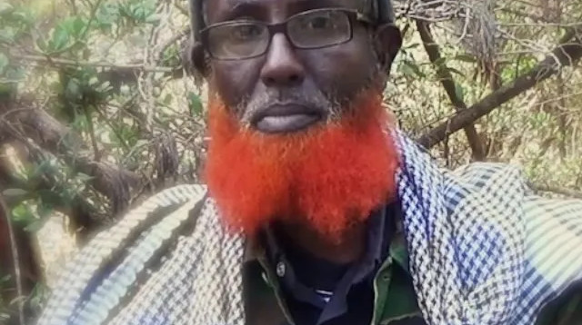 עבד אל-קאדר מומין (צילום: רשתות חברתיות, שימוש לפי סעיף 27 א')