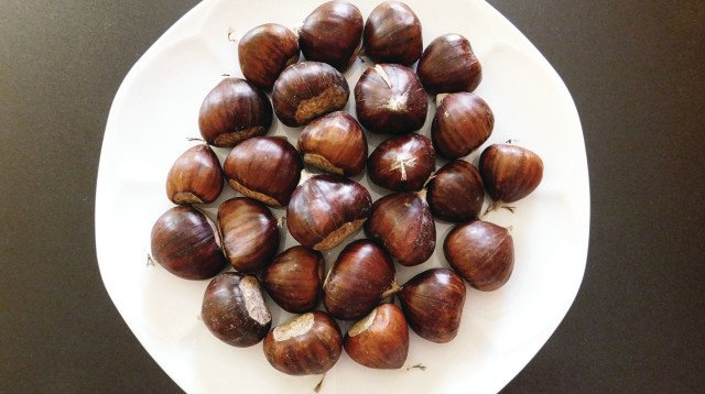 ערמונים (צילום: אינג'אימג')