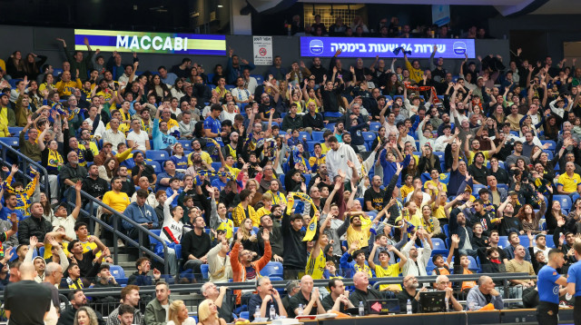 אוהדי מכבי תל אביב (צילום: דני מרון)