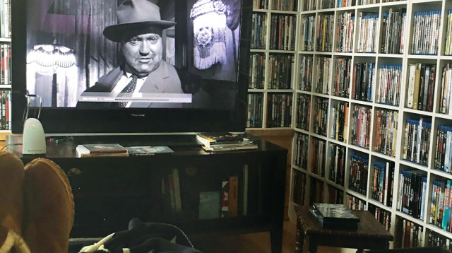 קולנוע אמריקאי  (צילום: רון מיברג)