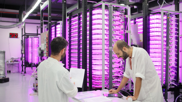 החווה הקוונטית של גרינאניקס (צילום: יח"צ)