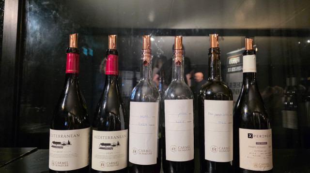 זאפה ויקבי כרמל (צילום: זאפה)