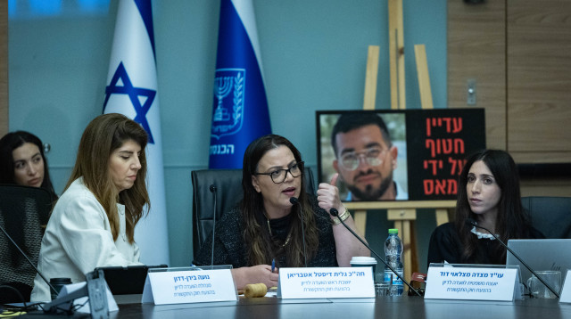 גלית דיסטל בראש הוועדה המיוחדת לחוק התקשורת בכנסת (צילום: יונתן זינדל, פלאש 90)