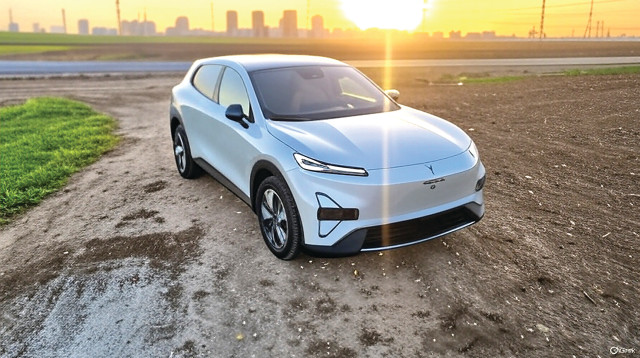 דיפאל 05 (צילום: אודי עציון)