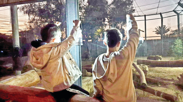 סיור עששיות במדבריום פארק החיות (צילום: מורן לוי)